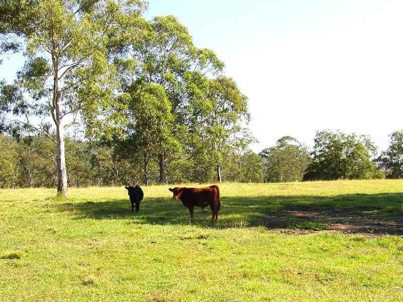 Wherrol Flat NSW 2429