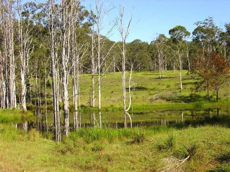 Wherrol Flat NSW 2429