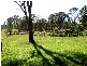 Cundletown NSW 2430