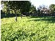 Taree NSW 2430
