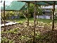 Taree NSW 2430