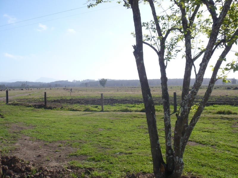 Harrington NSW 2427