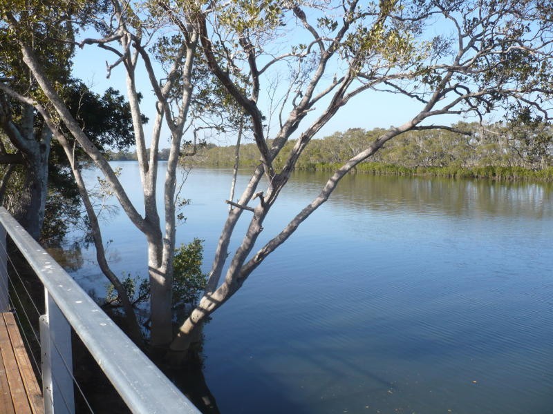 Harrington NSW 2427
