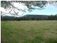 Moto NSW 2426