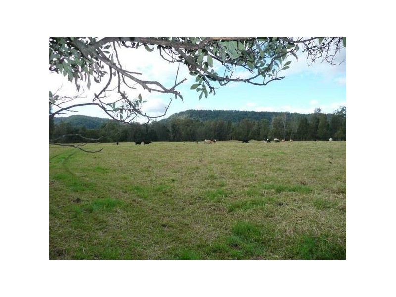 Moto NSW 2426