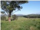 Hillville NSW 2430
