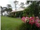 Wingham NSW 2429