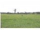Wingham NSW 2429