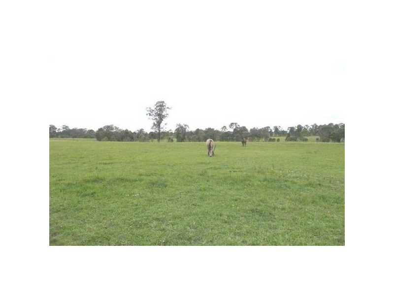 Wingham NSW 2429