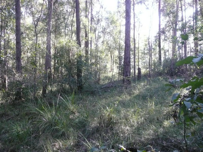 Taree NSW 2430