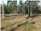 Taree NSW 2430