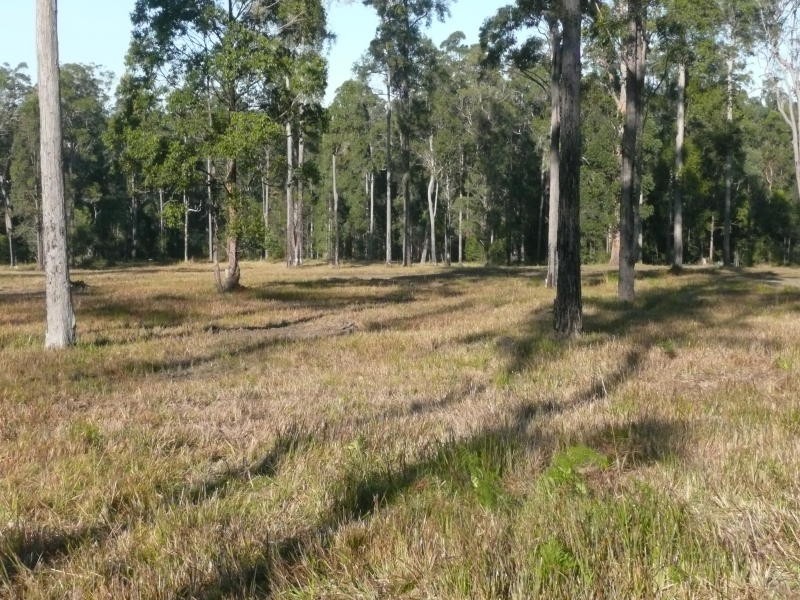 Taree NSW 2430