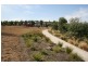 2446 Wilcox Lane, Sunbury VIC 3429
