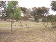 4 Ramsay Court, Sunbury VIC 3429
