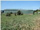85 Palmer Road, Sunbury VIC 3429