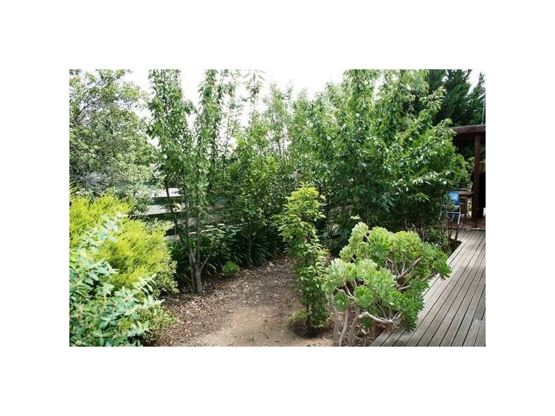 9 Riddell Road, Sunbury VIC 3429