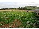 629 Belleview Drive, Sunbury VIC 3429