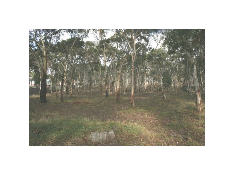 41 Fullwood Drive, Sunbury VIC 3429