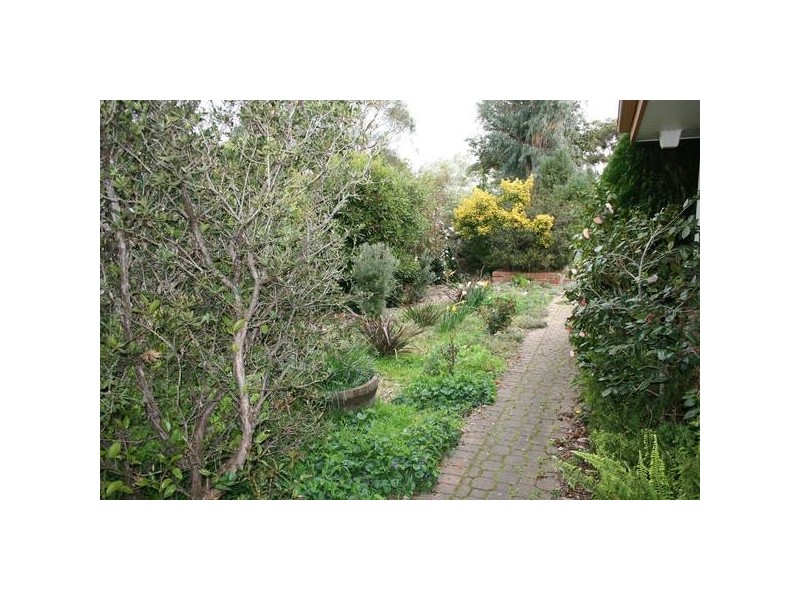 49 Carnoustie Drive, Sunbury VIC 3429