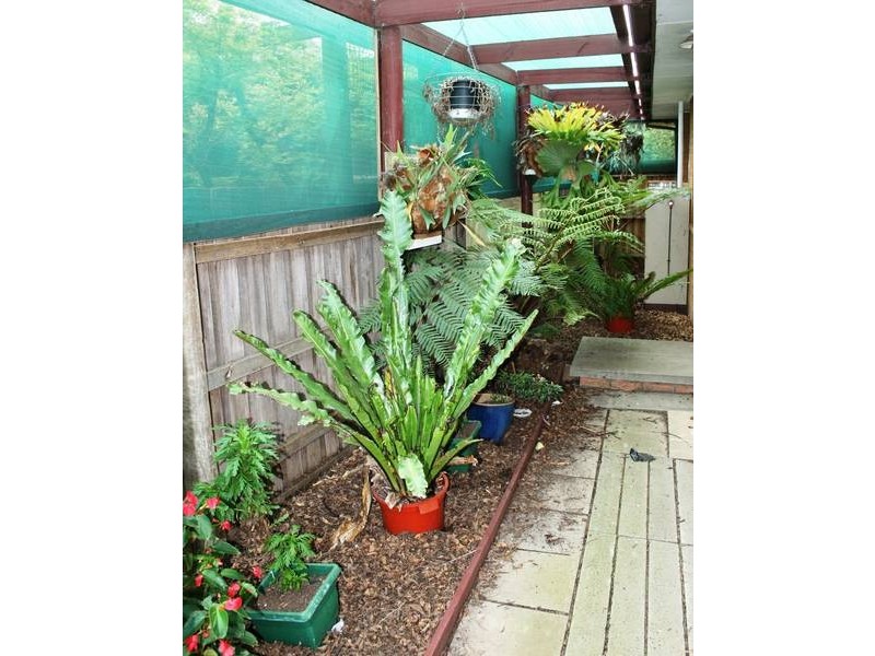 5 Darwin Street, Sunbury VIC 3429