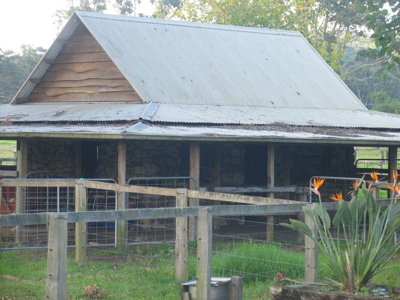 1410 Dooralong Road, Dooralong NSW 2259