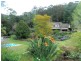 Little Jilliby NSW 2259