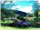 Little Jilliby NSW 2259