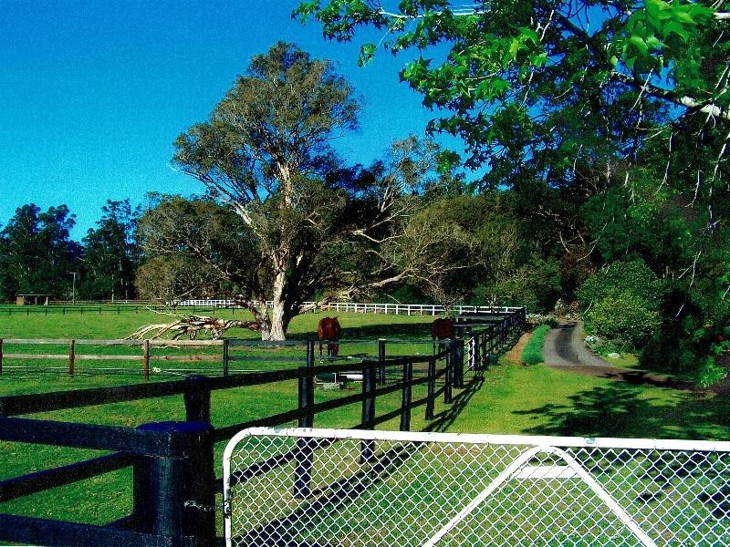 Little Jilliby NSW 2259