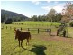 Little Jilliby NSW 2259
