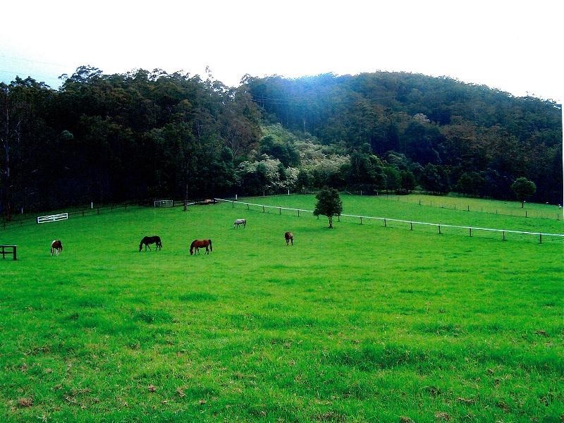 Little Jilliby NSW 2259