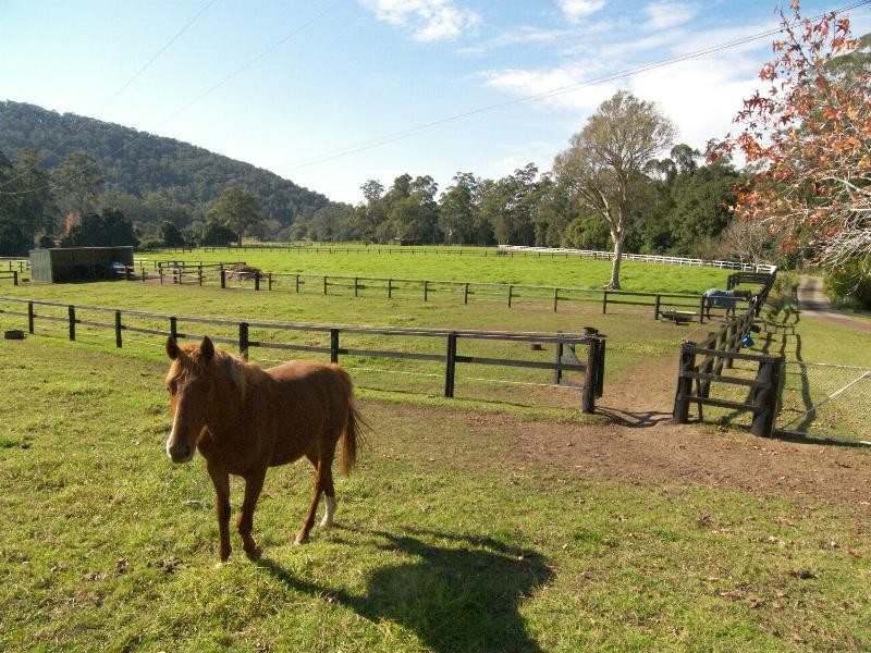 Little Jilliby NSW 2259