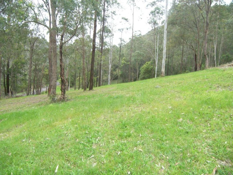Mangrove Mountain NSW 2250