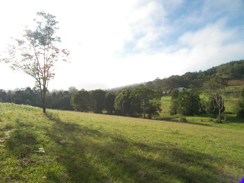 Yarramalong NSW 2259