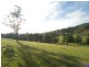 Yarramalong NSW 2259