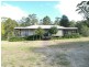 Lemon Tree NSW 2259