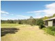 Lemon Tree NSW 2259