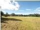 Lemon Tree NSW 2259