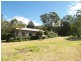 Lemon Tree NSW 2259