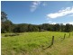 Lemon Tree NSW 2259