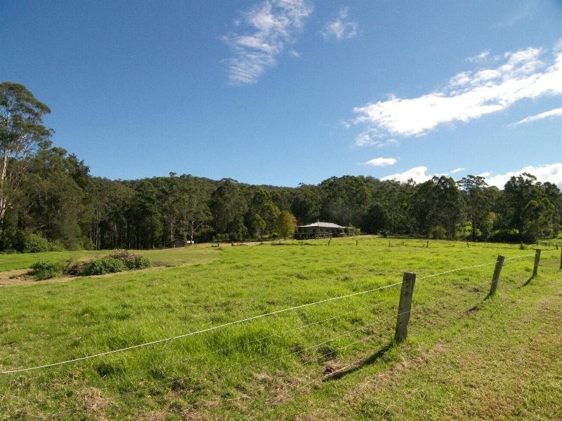 Lemon Tree NSW 2259