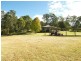 Lemon Tree NSW 2259