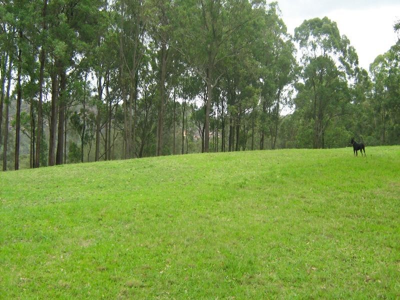 Spencer NSW 2775
