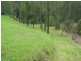 Spencer NSW 2775