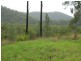 Spencer NSW 2775