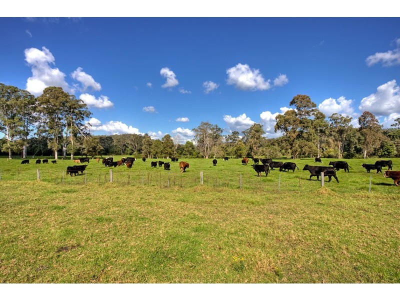 Little Jilliby NSW 2259