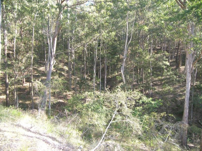 Mandalong NSW 2264