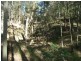 Mandalong NSW 2264