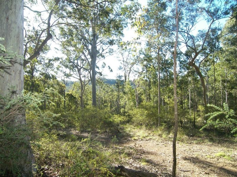 Mandalong NSW 2264