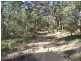 Mandalong NSW 2264