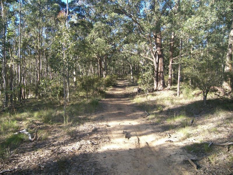 Mandalong NSW 2264